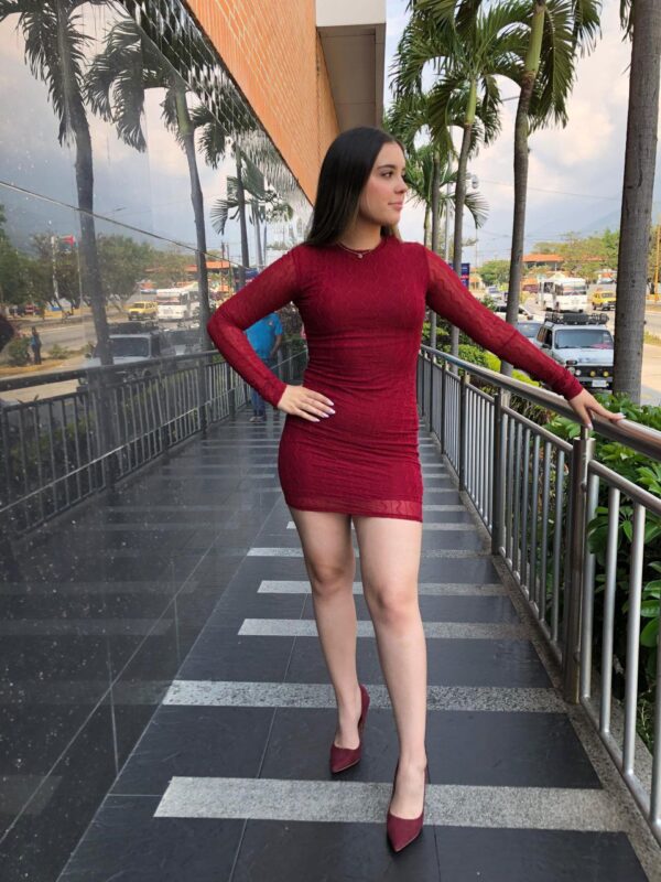 Mini Vestido Bodycon de Malla